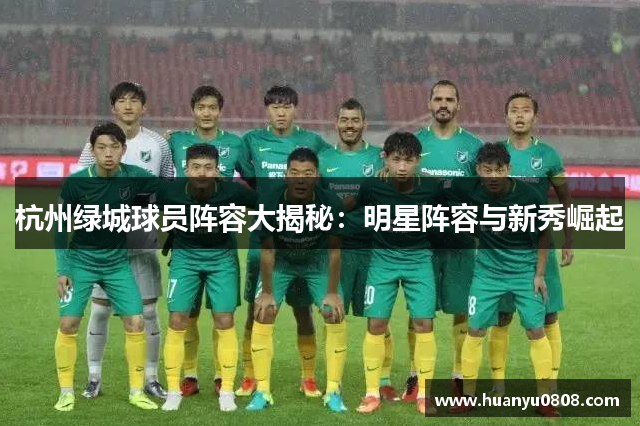 杭州绿城球员阵容大揭秘：明星阵容与新秀崛起